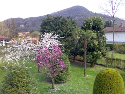 Pettenasco Lake Orta Italy